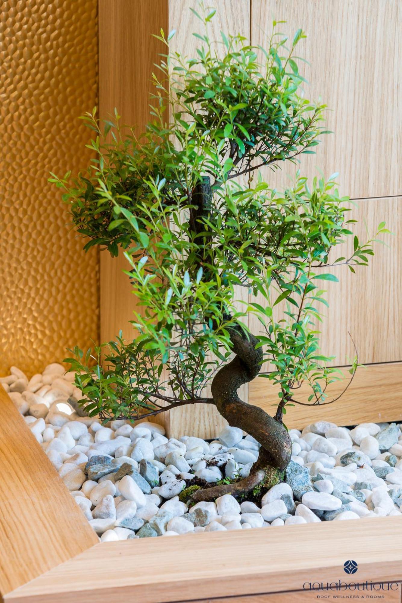 Aquaboutique Wellness&Spa Vietri Ngoại thất bức ảnh